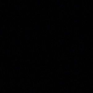 Meet your Posher, Jerry